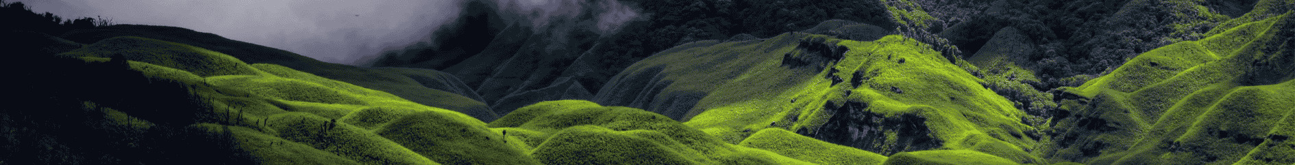 Nagaland