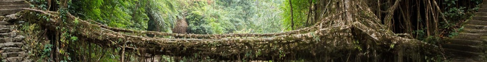 Meghalaya